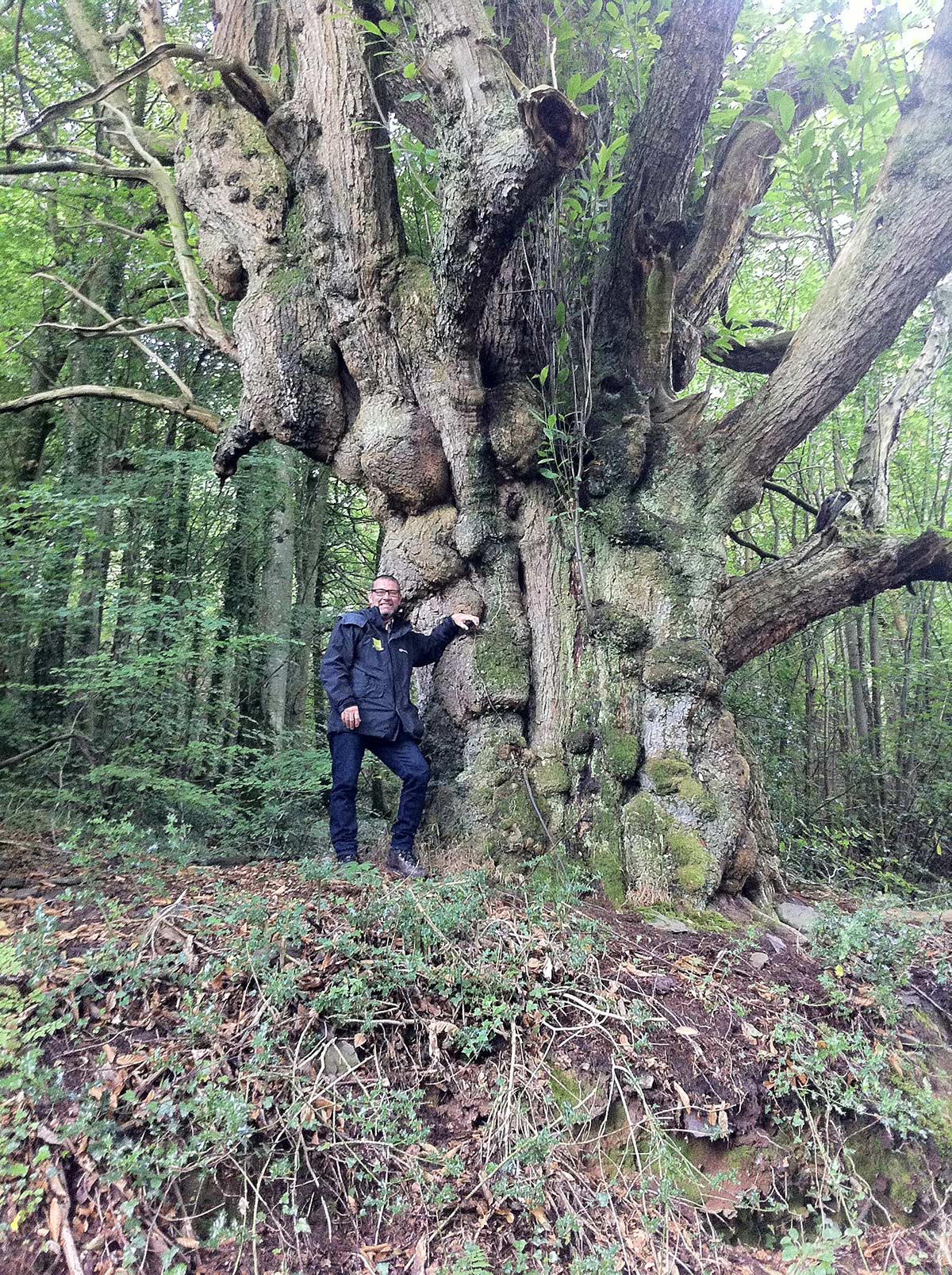 nick morgan of conserve and restore leaning on a tree in ancient woodland